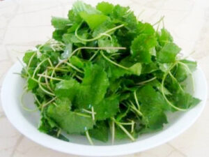 cách trị sẹo lõm trên mặt