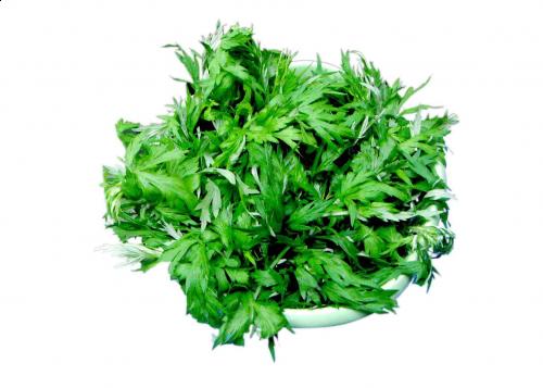 Cách trị sẹo lõm trên mặt với ngải cứu