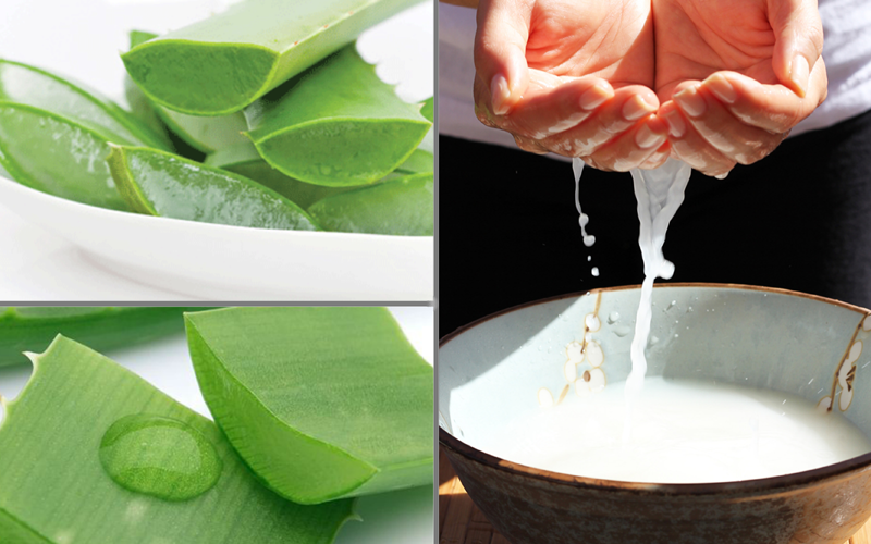 làm đẹp da bằng nha đam và nước vo gạo